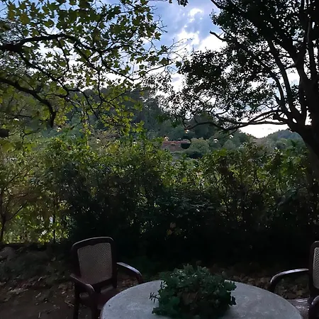 Le Jardin D'hortense Bed and breakfast Saint-Jean-du-Gard